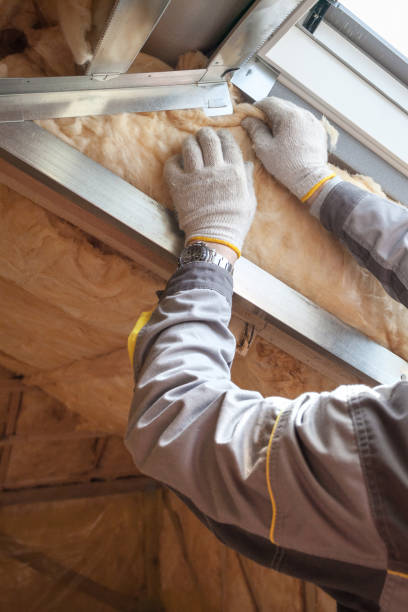 Best Insulation Installation Services in Bylas, AZ