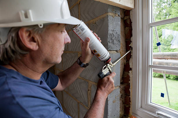 Best Commercial Insulation in Bylas, AZ